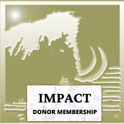 Impact Donor Membership
